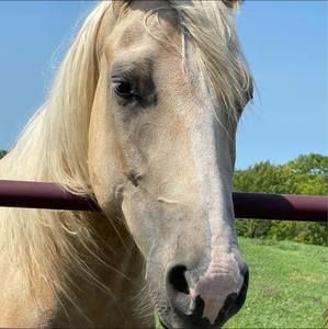 Meet your Posher, Sandy